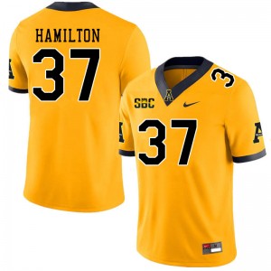 Men Andre Hamilton Gold Mountaineers #37 Jersey 113624-134