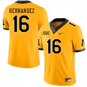Men David Hernandez Gold Appalachian State University #16 Jersey 571486-323