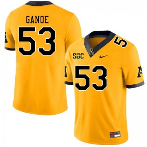 Men Jake Ganoe Gold Appalachian State Mountaineers #53 Jersey 328999-383