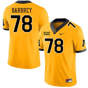 Men Dylan Barbrey Gold Mountaineers #78 Jersey 554356-506