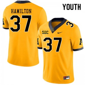 Youth Andre Hamilton Gold Appalachian State #37 Jersey 596260-310