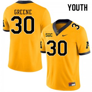 Youth Carter Greene Gold Mountaineers #30 Jersey 566770-648