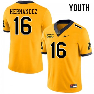 Youth David Hernandez Gold Appalachian State #16 Jersey 201414-330