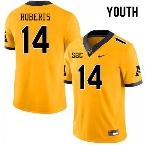 Youth Kanye Roberts Gold Appalachian State Mountaineers #14 Jersey 473518-405