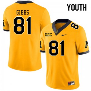 Youth Miller Gibbs Gold Mountaineers #81 Jersey 774352-736