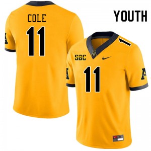 Youth Avarion Cole Gold Appalachian State Mountaineers #11 Jersey 341667-272