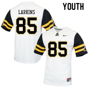 Youth David Larkins White Mountaineers #85 Jersey 153031-335