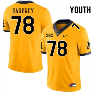 Youth Dylan Barbrey Gold Appalachian State #78 Jersey 278644-889