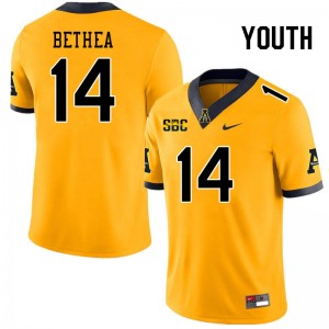 Youth Jayden Bethea Gold Mountaineers #14 Jersey 847274-564