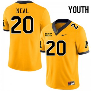 Youth Kaleb Neal Gold Appalachian State University #20 Jersey 863141-170