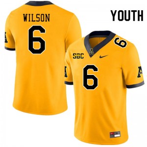 Youth Matthew Wilson Gold Appalachian State University #6 Jersey 904837-761