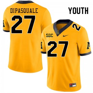Youth Michael Dipasquale Gold Appalachian State #27 Jersey 653702-745