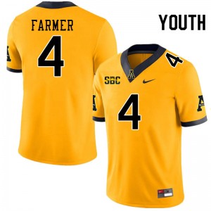 Youth Myles Farmer Gold Mountaineers #4 Jersey 559507-509