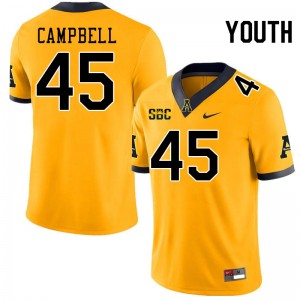 Youth Nick Campbell Gold Appalachian State #45 Jersey 428651-248